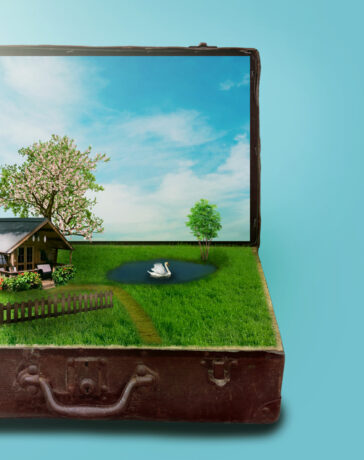 Zo hou je je paard gezond en veilig aan huis!Zo hou je je paard gezond en veilig aan huis!