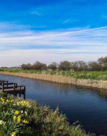 beschoeiing kunststof